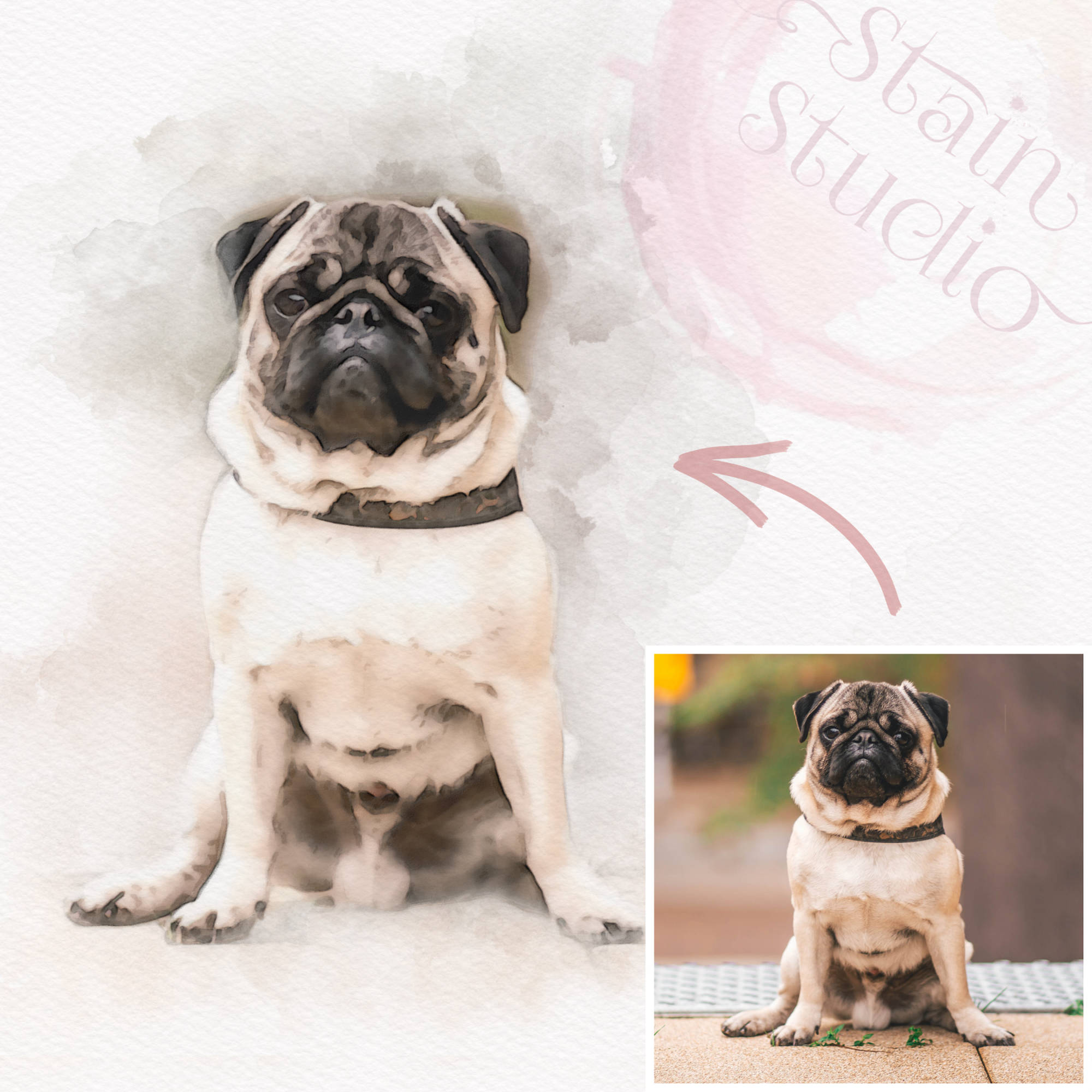 Custom pet portrait of a pug